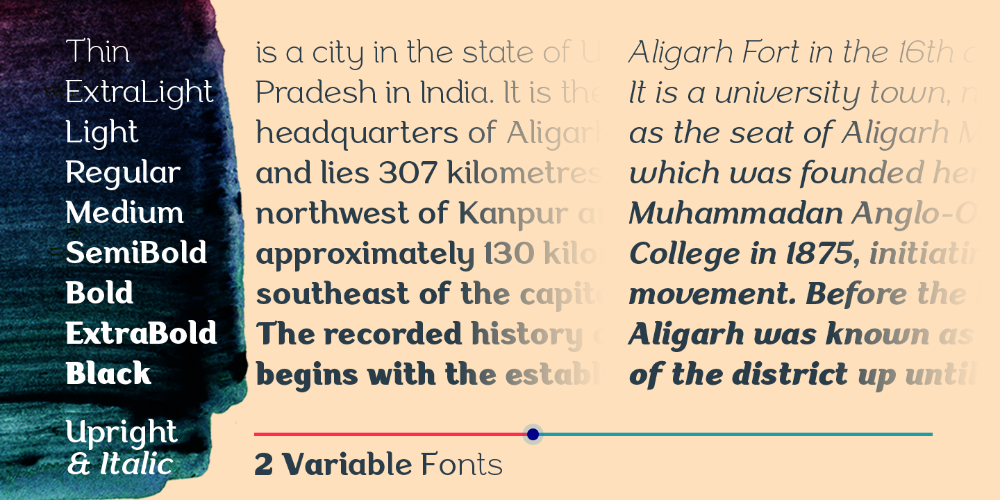 Aligarh